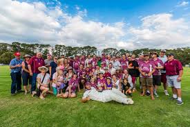 Image result for Redlynch and Hale Cricket Club