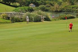 Image result for Palewell Pitch & Putt Golf Club