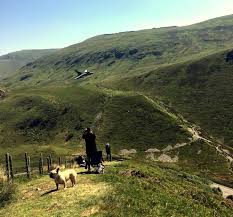 Image result for cad west