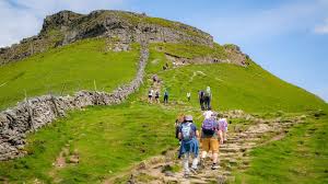 Image result for PENYGHENT GUN CLUB