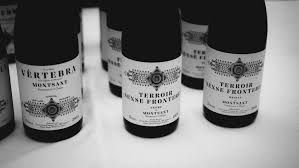 Image result for geografs sense fronteres