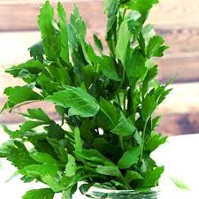 Image result for Liebstöckel