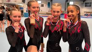 Image result for Charisma Gymnastics Club
