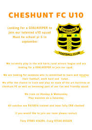 Image result for Cheshunt Youth Netball Club