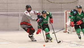 Image result for Borehamwood Crusaders