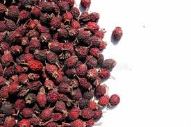 Attēlu rezultāti vaicājumam “Rosa majalis fruit”