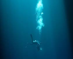 Image result for Duchy Divers