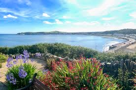 Image result for Isle Of Man