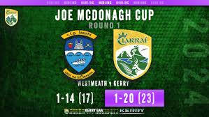 Image result for Causeway Hurling Club