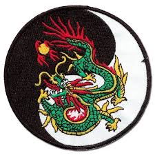 Image result for Hidden Dragon Karate-Do