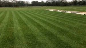 Image result for Bashley (Rydal) Cricket Club