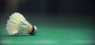 Image result for REW VALLEY BADMINTON CLUB