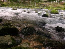 Image result for vallorbe tehron