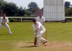 Image result for Selsted Cricket Club