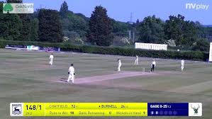 Image result for West Herts Cricket Club