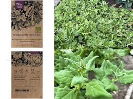 Image result for Neuseeländer Salat