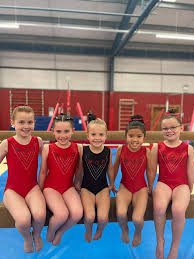 Image result for St Helens Centre For Gymnastics Club