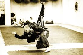 Image result for Hachidori ju-jitsu Martial Arts