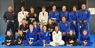 Image result for Aj Independent Martial Arts
