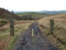 SD9514 : Pennine Bridleway, East of Benny Hill - via Daymix