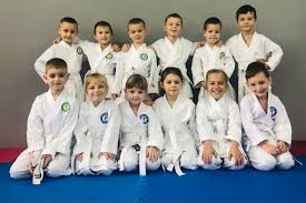 Image result for Uwe Karate Club