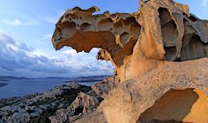 Image result for capo d'orso