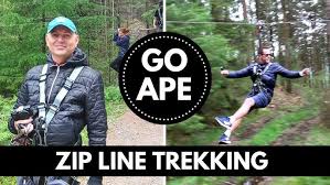 Image result for Go Ape! Grizedale