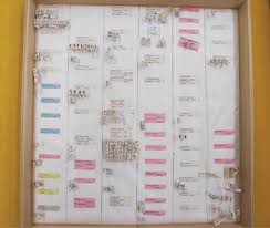 Attēlu rezultāti vaicājumam “Chionaspis salicis imago”