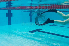 Image result for Swansea Finswimming Club