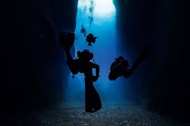 Image result for Deep and Wide Diving