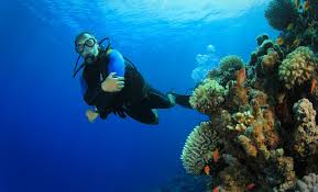 Resultado de imagen para cozumel dive