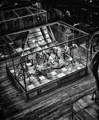 「ニュートン・カーティス」の画像検索結果