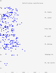 Attēlu rezultāti vaicājumam “Antitrichia curtipendula sporophyte”