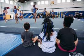 Image result for Biddick Sports College Community Gymnastics Club