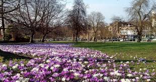 Image result for Harrogate