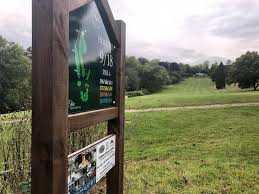 Image result for Dorking Golf Club
