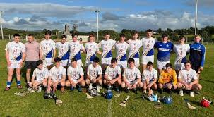 Image result for Parnells Gaelic Football Club