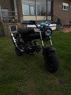 Image result for skyteam pbr teller