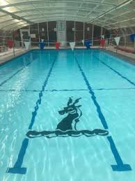 Image result for Horley Swimming Club