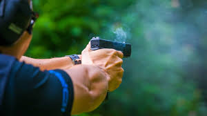 Image result for Property Gun and Punt Club