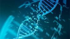 Genetic Disorders | Genomics and Your Health | CDC