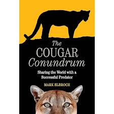 Image result for Craigavon Cougars