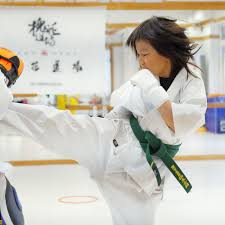 Image result for Kyokushinkai Karate Bradford