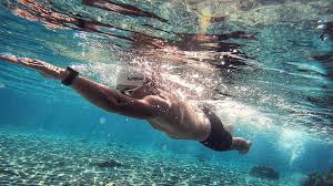 Image result for SwimSwansea