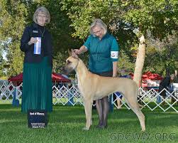 Image result for Great Dane Handball Club, Wapping, London