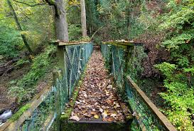 Image result for Lostwithiel Smbc