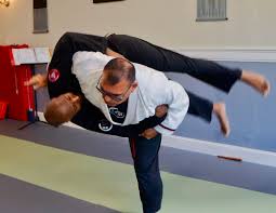 Image result for Aj Independent Martial Arts