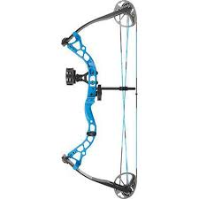 Image result for Blue Arrows Archery Club