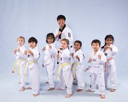 Image result for Bytomic Tae Kwon Do Windsor
