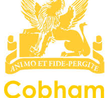 Image result for Cobham Sports Association Ltd
